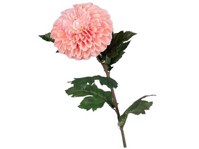 ramo dalia 22x74cm rosa 2fv1763