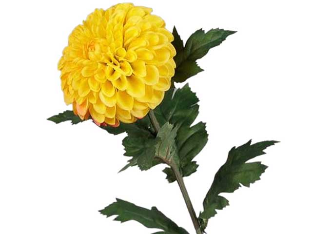 Ramo dalia 22x74cm giallo 2fv1763