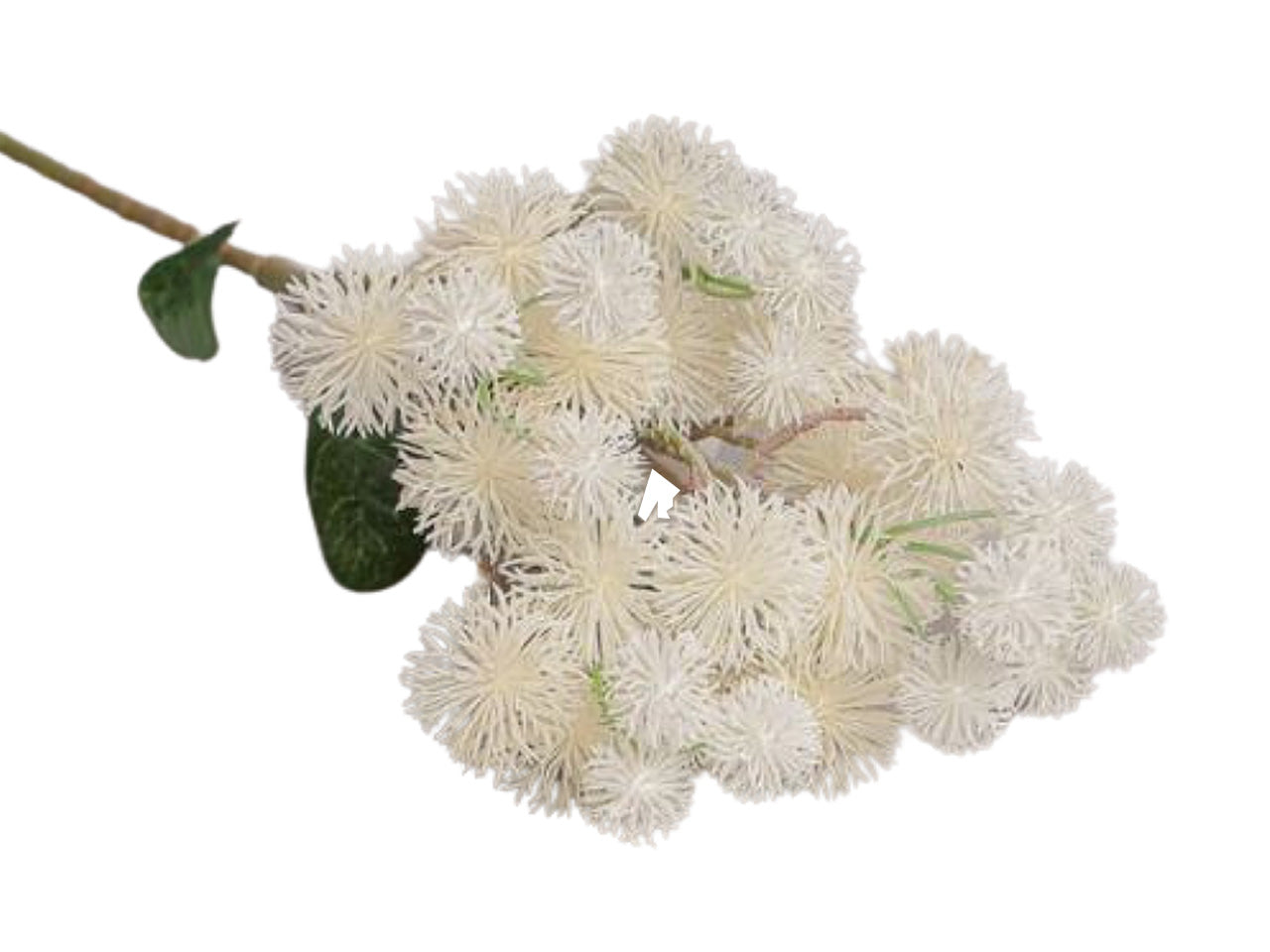 Ramo pom pom 18x65cm bianco 2fv1877