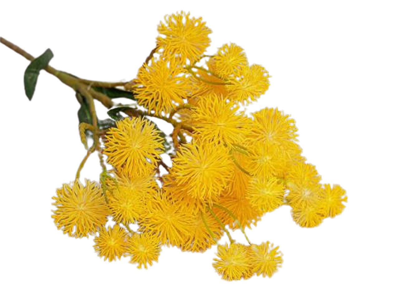 Ramo pom pom 18x65cm giallo 2fv1877