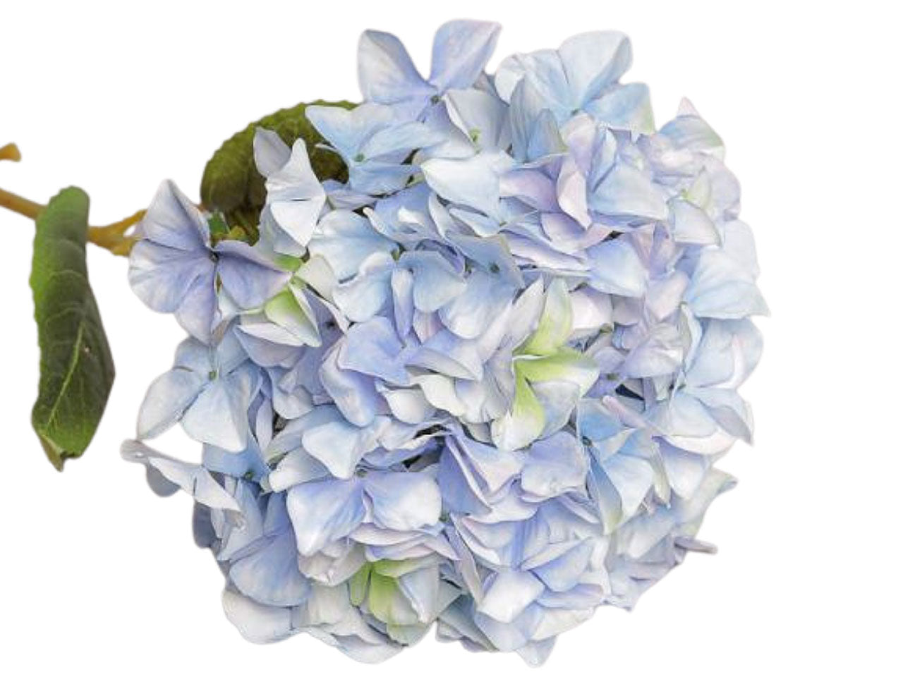 Ramo ortensia sing.109cm blu 2fv1917