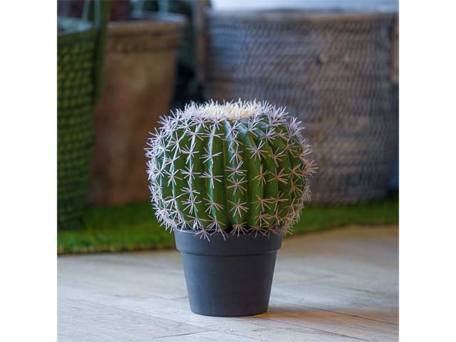 Cactus in vaso 27x27x33cm 2pv1905