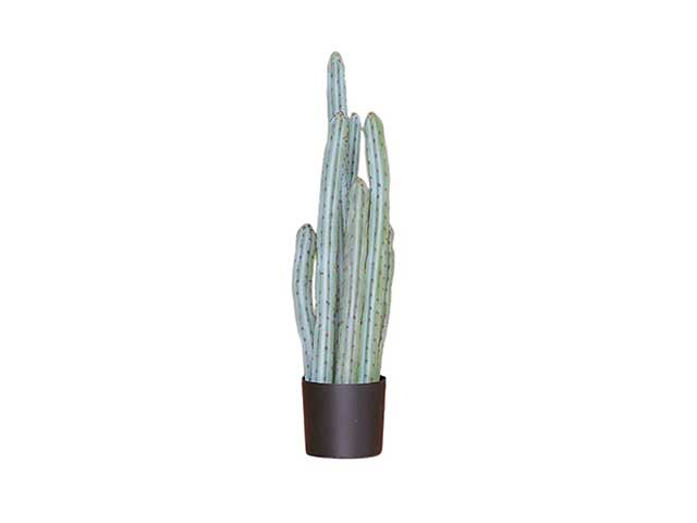 cactus 95cm in vaso bright green 2pio510