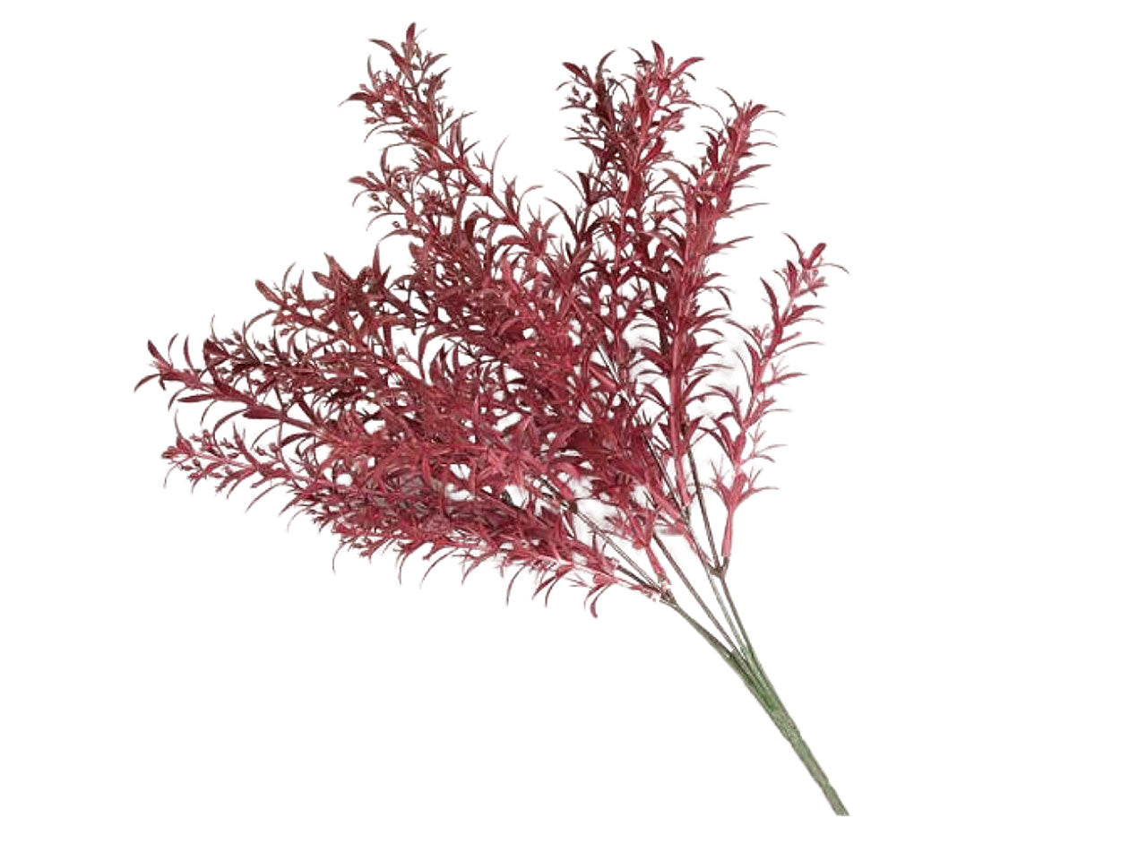 Mazzo foglie asparago 38cm burgundy 2phz1166