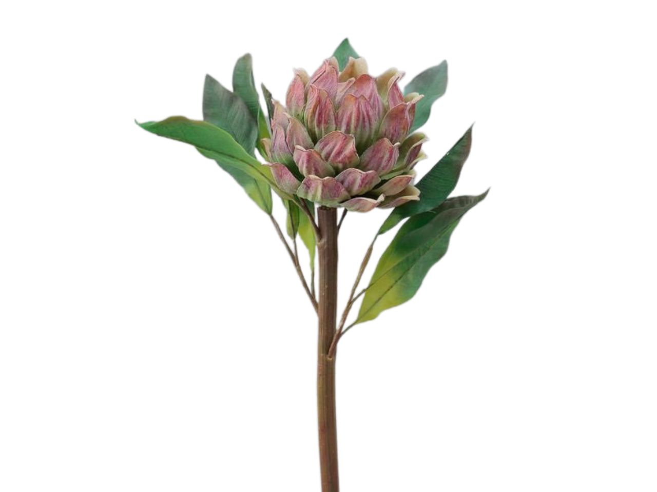 Ramo fiore protea 61,5cm verde e viola