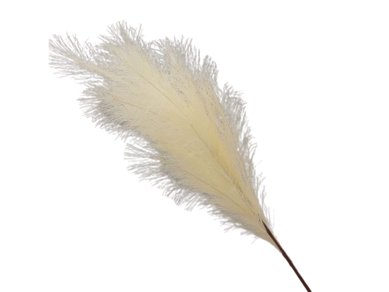 Ramo con pampas 105cm crema