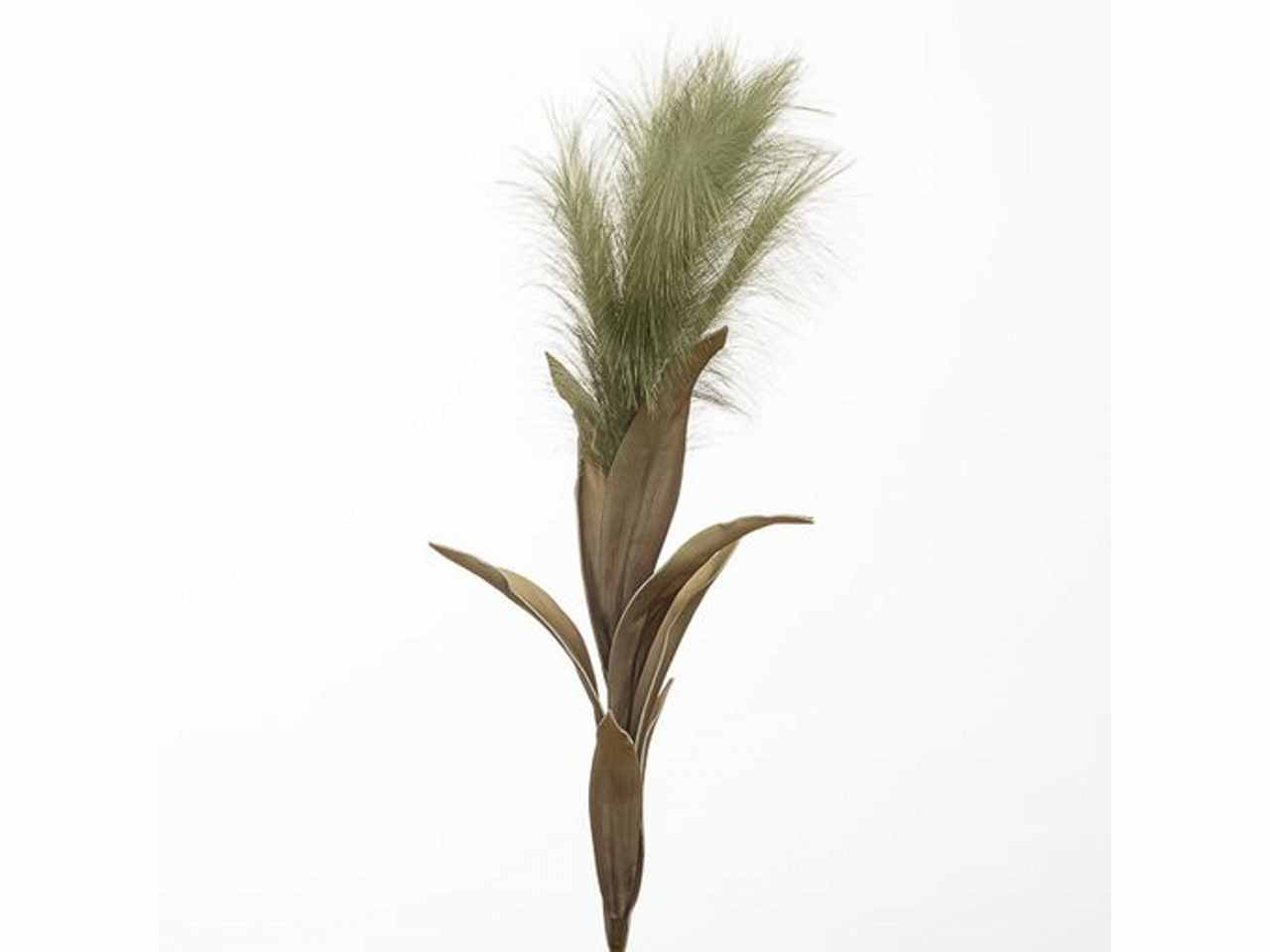 Ramo pampas 110cm verde 2phz1808