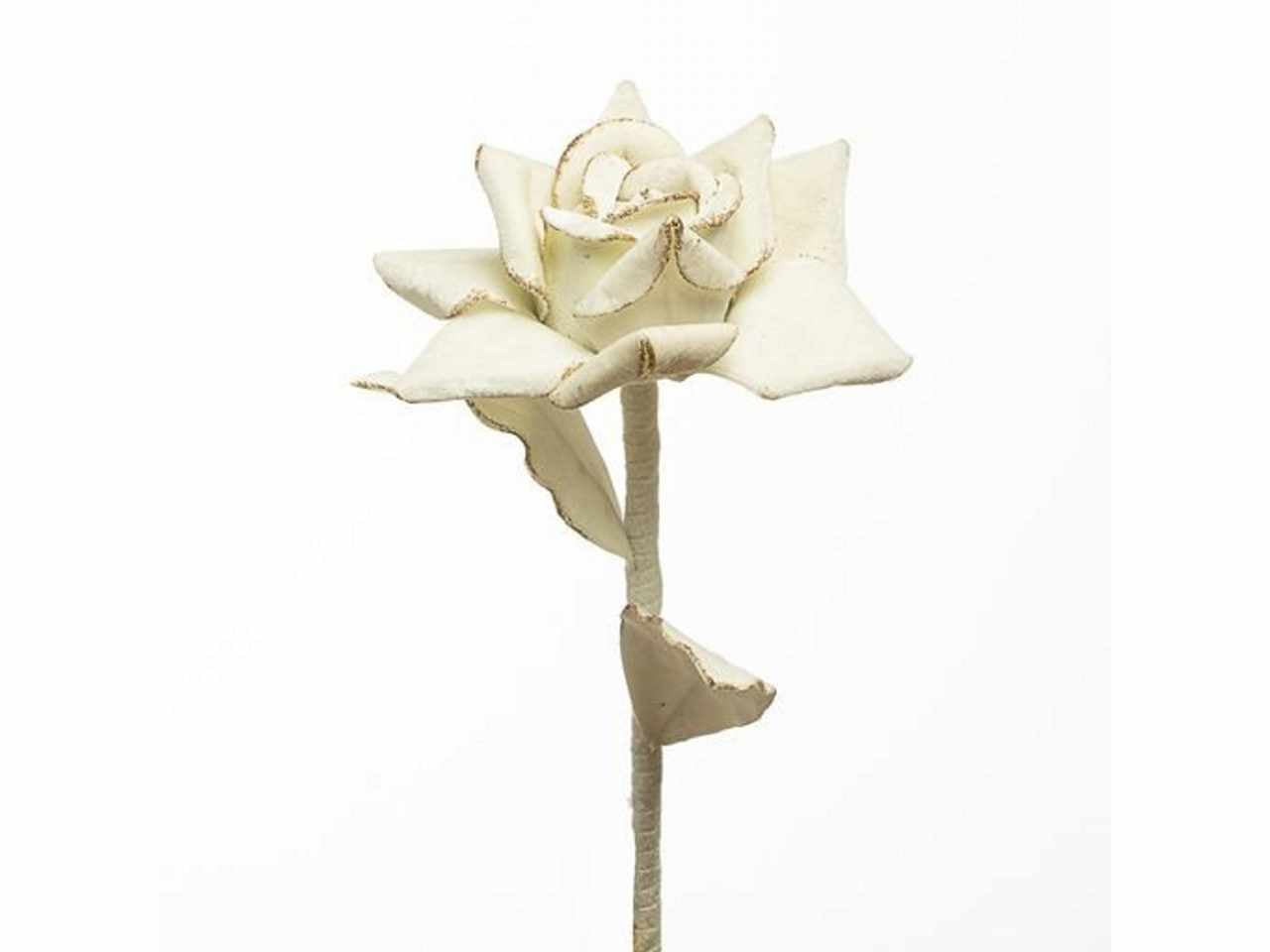 Rosa velluto beige 80cm 1nhz1888
