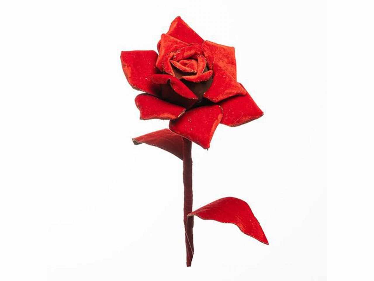 Rosa velluto rosso 80cm 1nhz1888