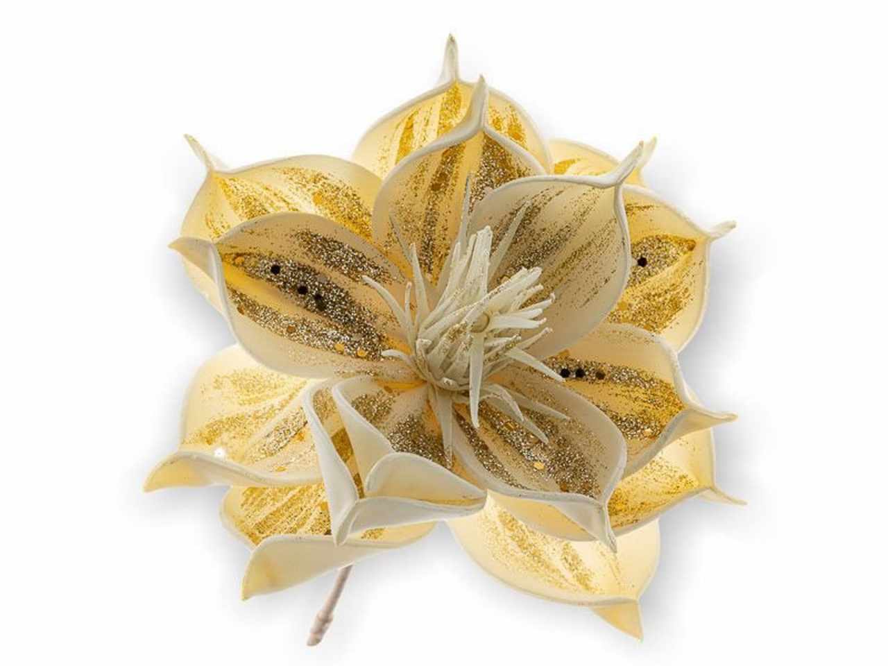 Magnolia 25cm beige 1nhz1909
