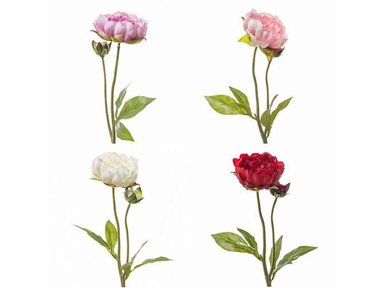 Ramo con peonia singola 49cm colori assortiti
