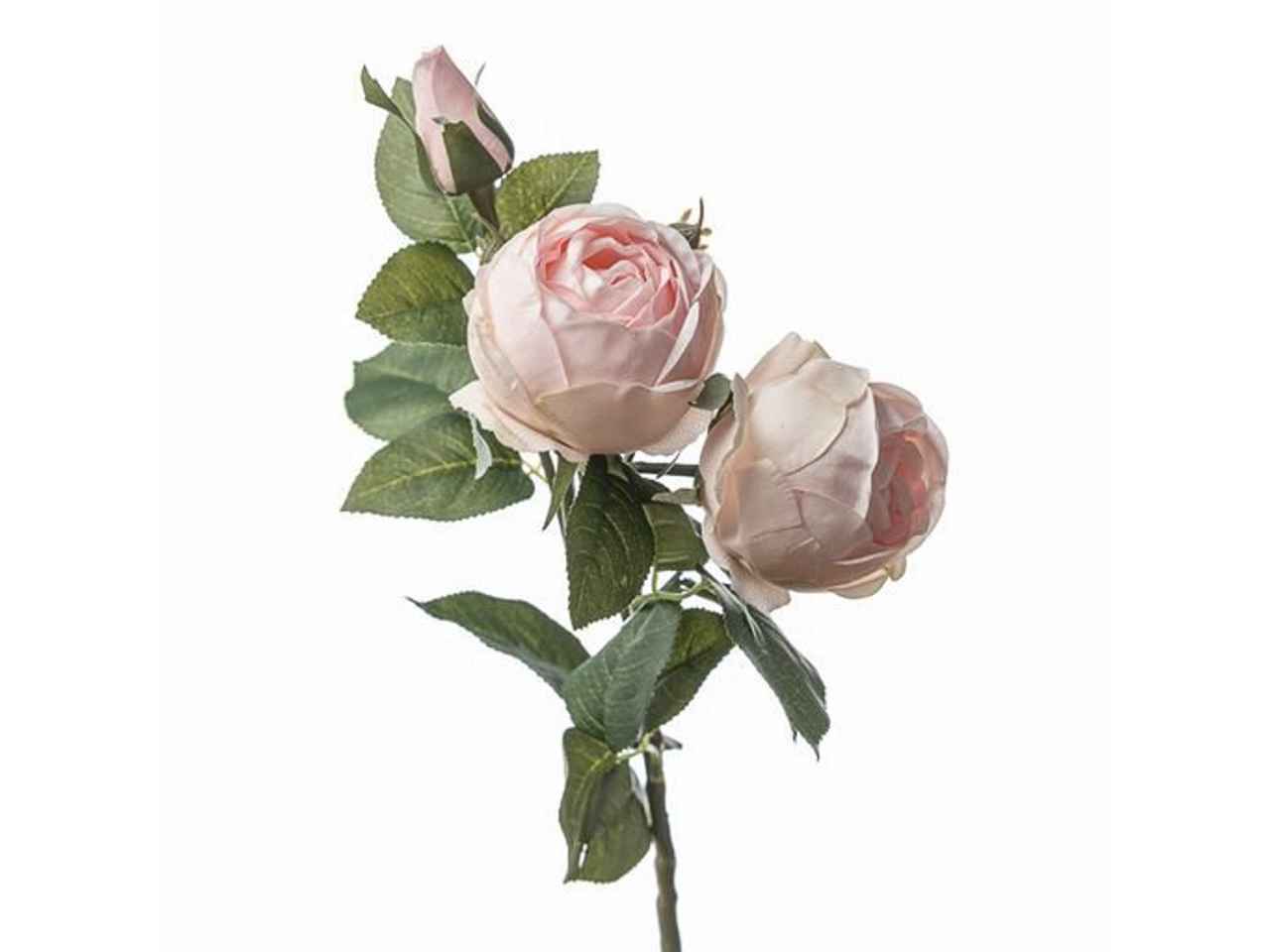 Ramo con rose x3 h.73cm colore cipria
