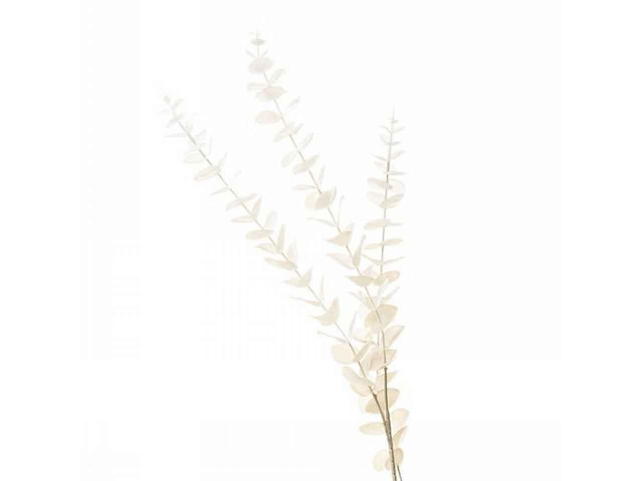 Ramo eucalipto 110cm crema