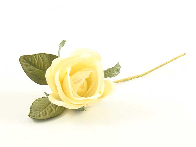 Rosa c/organza l795/crm