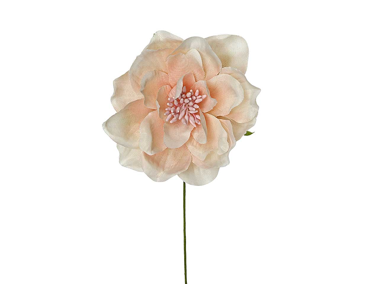 Peonia d.7,5cm cipria l2174/pk