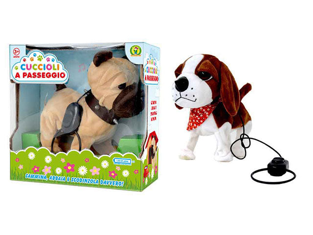 cuccioli a passeggio 20550943