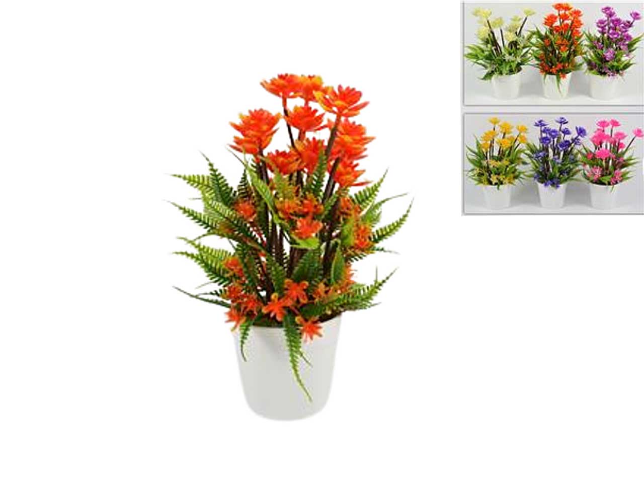 piantina fiori ro006640