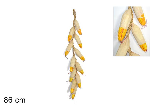 Appendino mais lu000271