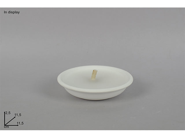 Citronella bianca coccio 11.5cmln001242