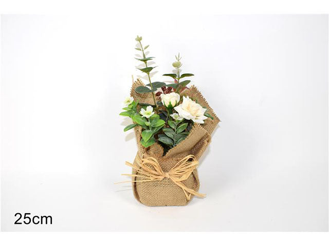 Pianta rose ed eucalipto mo000574
