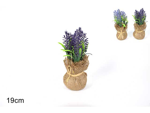 Piantina lavanda in juta 19cm mo000579