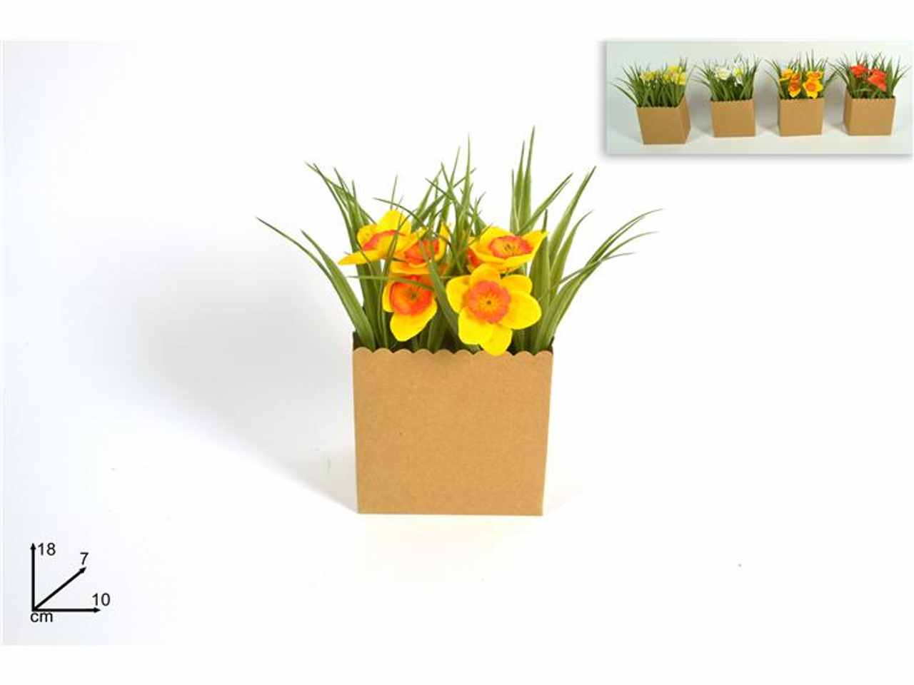 Piantina narciso mn000102