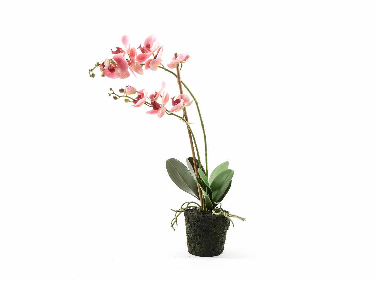Orchidea real touch in vaso 60cm 14668