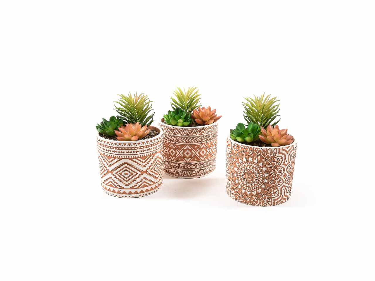 piante grasse in vaso h.16xd11,5cm29815