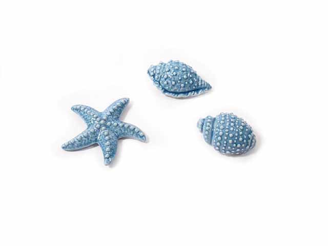 Calamita marina porcel. 5x3cm ass.42074