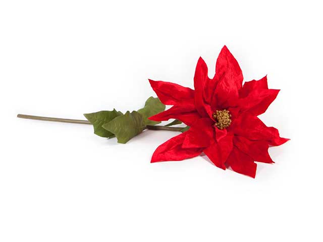 stella di natale rossa 125x73cm 83296