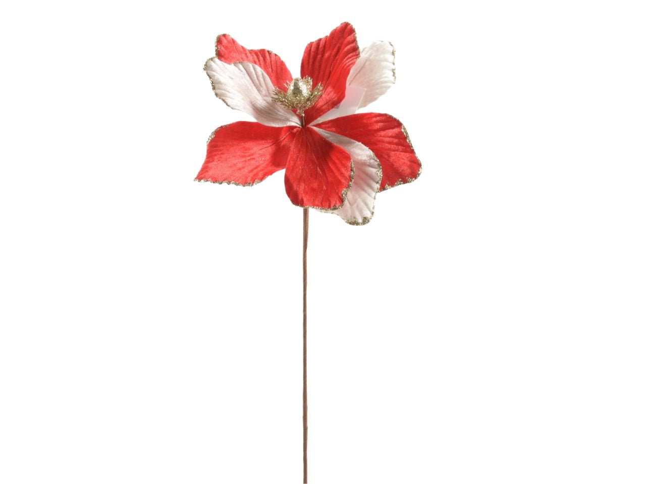 magnolia dx23h.60