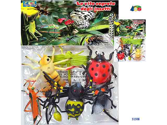 Animali insetti 51508