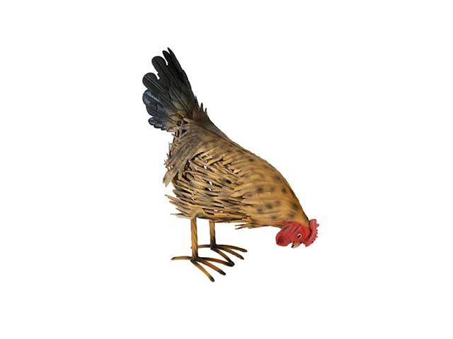 gallina metallo 36x15x37cm fjq070