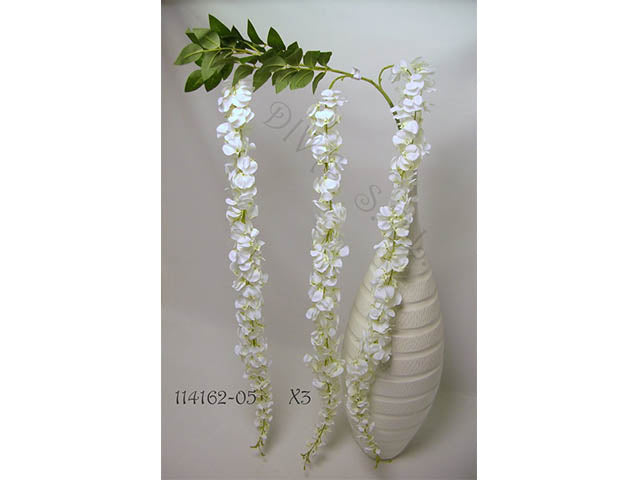 glicine crema 114162