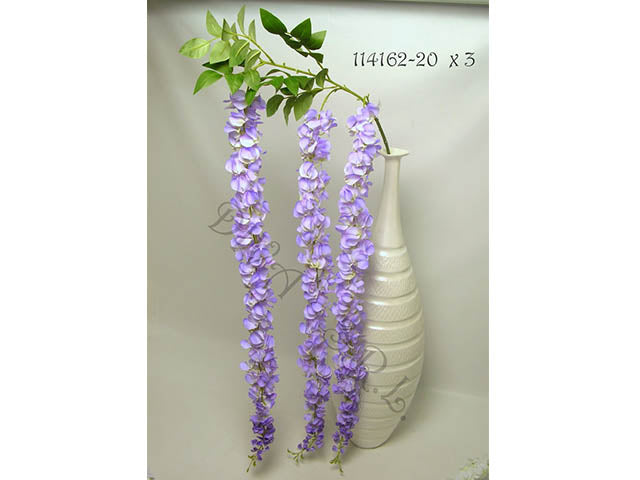 glicine lavanda 114162