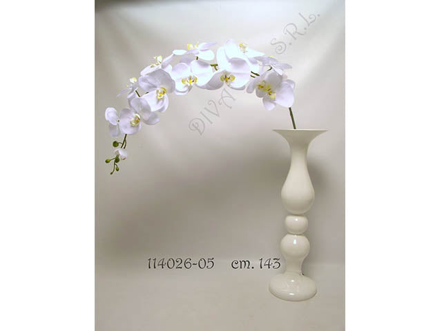 orchidea crema 143cm 114026