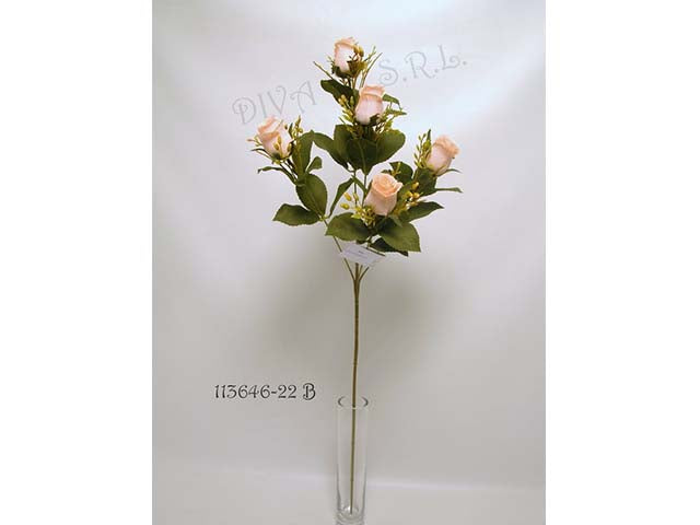 Rosa pesca 113646