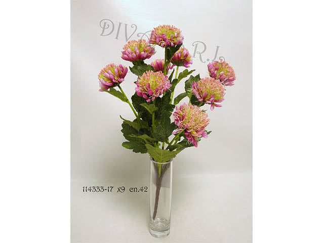 Mazzo margherite fucsia 114333