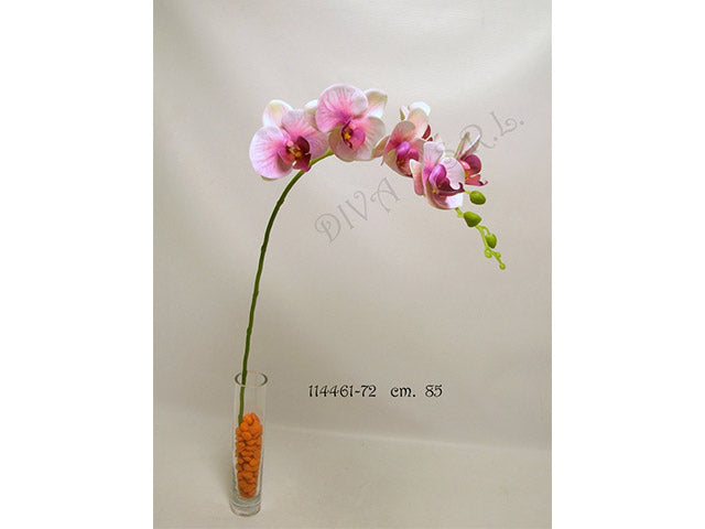 orchidea lilla/bianca 85cm 114461
