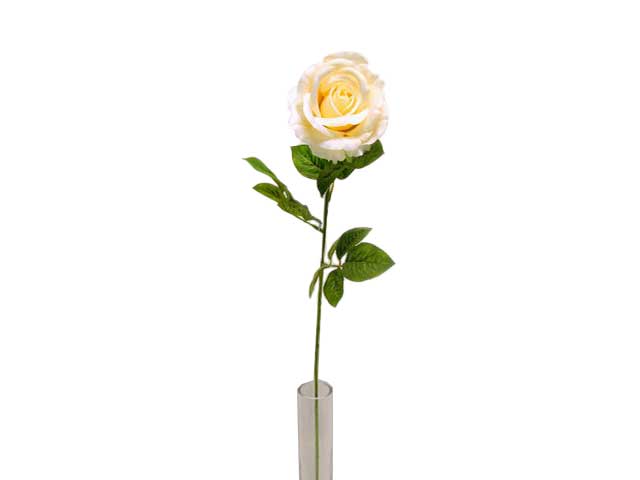 Rosa 70cm crema 114620