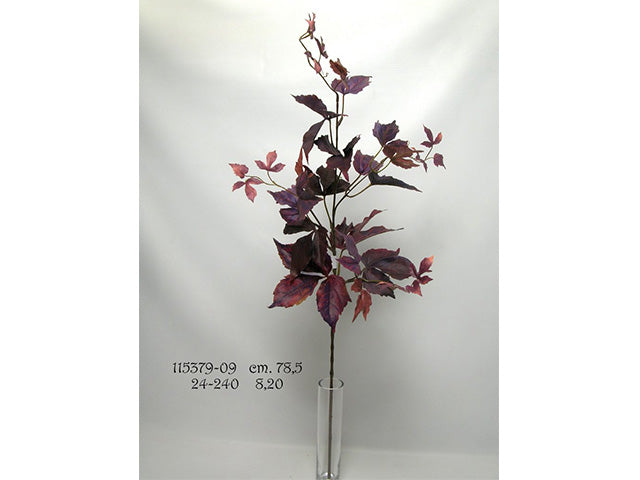 Vite americana viola 78.5cm 115379