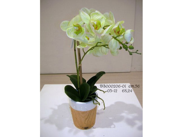 orchidea in vaso verde 56cm ds000206