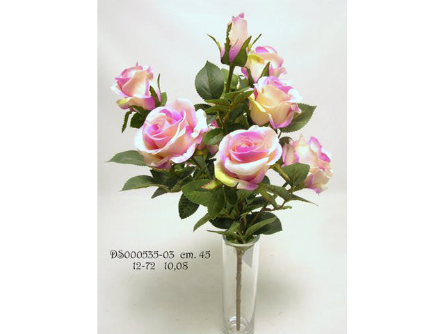 Rosa spruzzata rosa ds000535