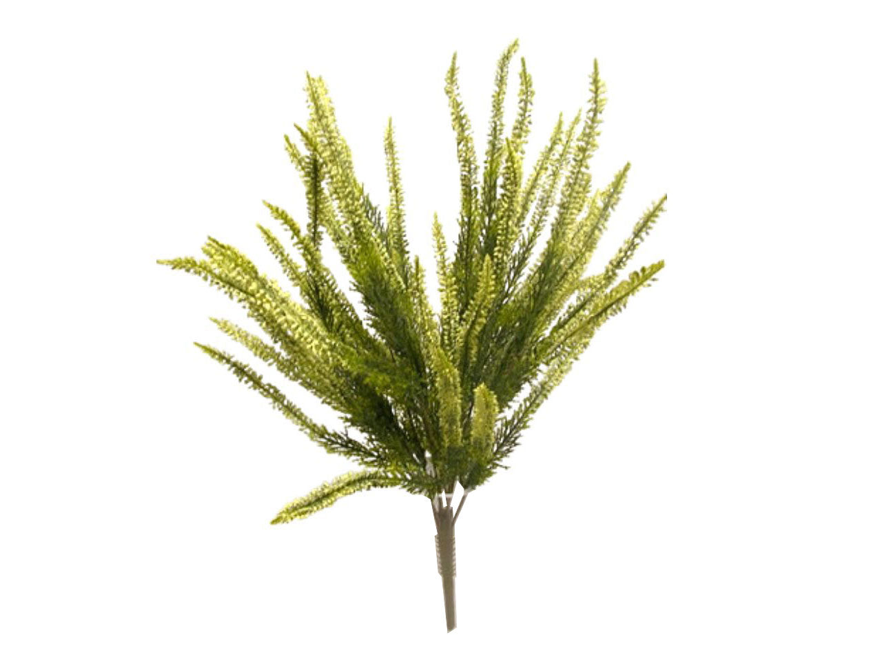 Mazzo sedum avorio da000011