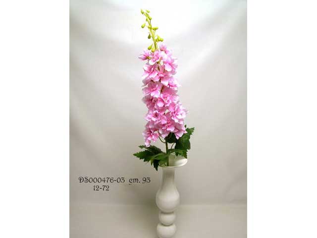 delphinium rosa ds000476