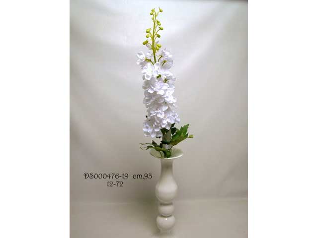 delphinium bianco ds000476