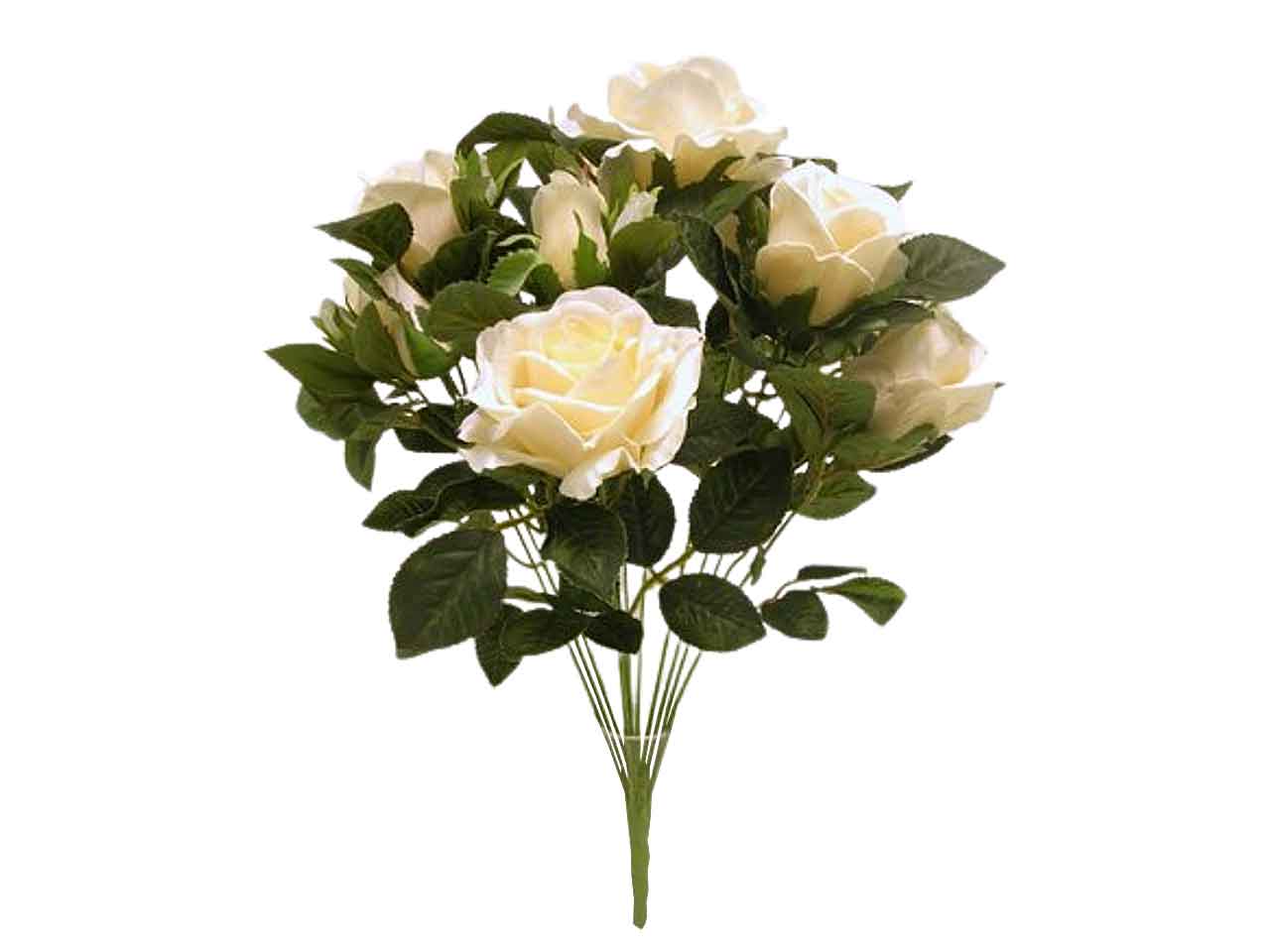 Mazzo rose x12 50cm crema ds000890