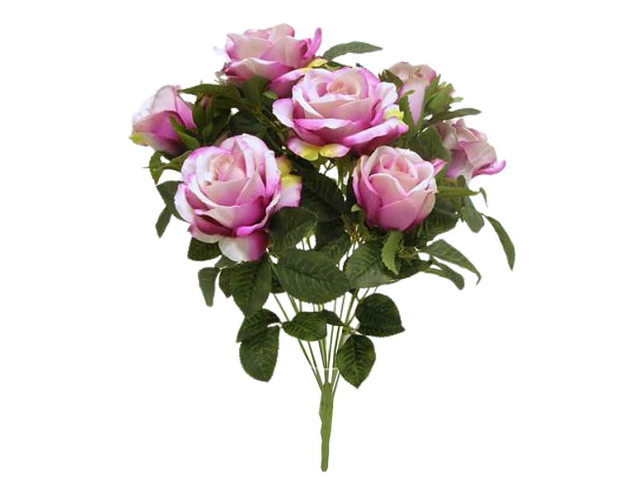 Mazzo rose x12 50cm fucsia ds000890