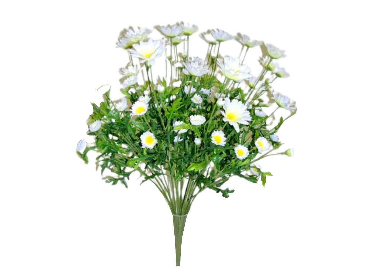 Mazzo di margherite x 18 colore crema 60cm