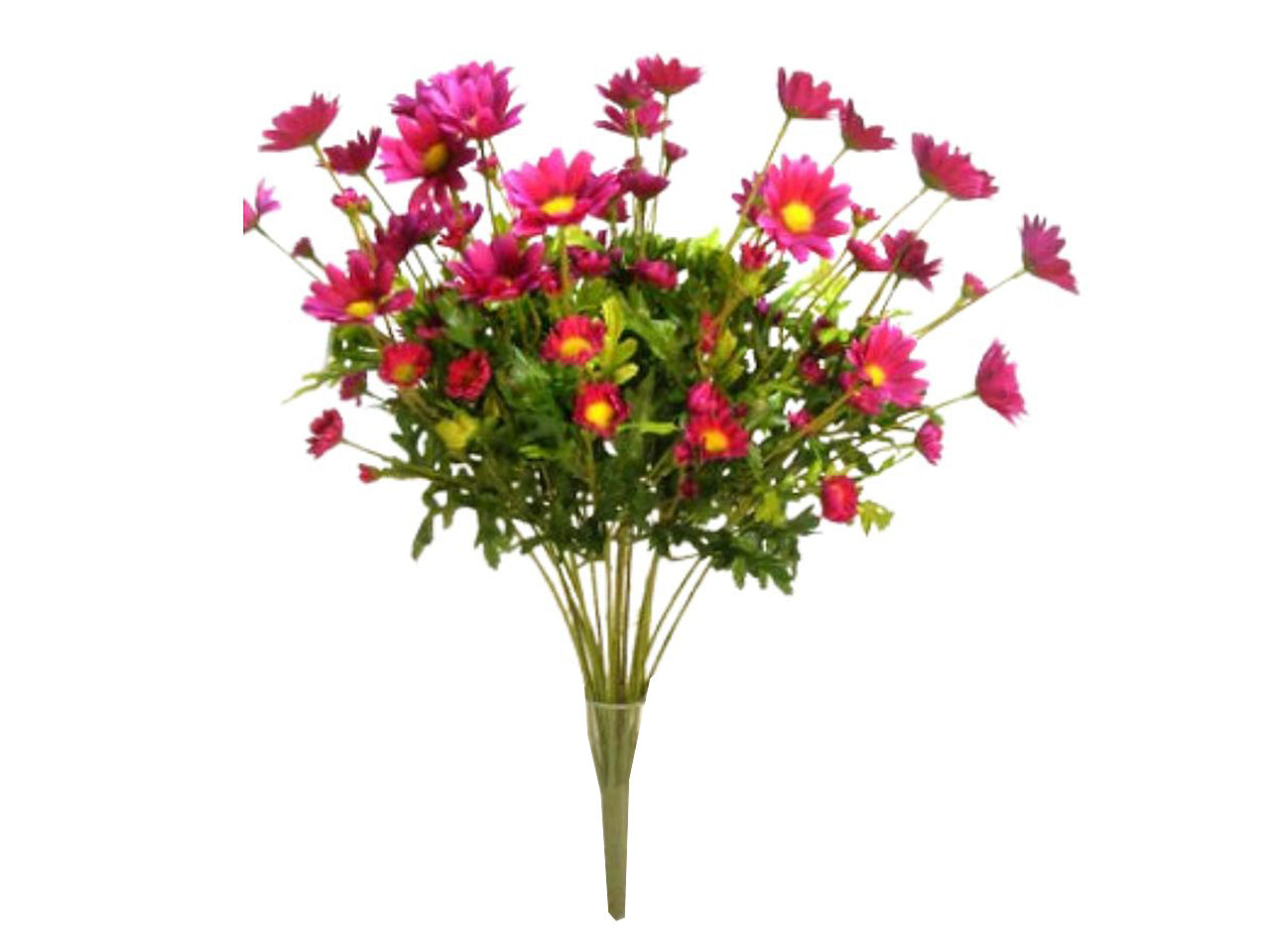 Mazzo di margherite x 18 colore fucsia 60cm